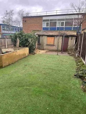 stump-grind-after