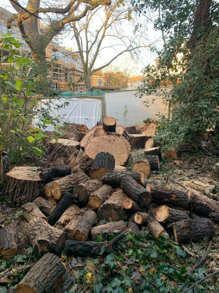 Wood packed together