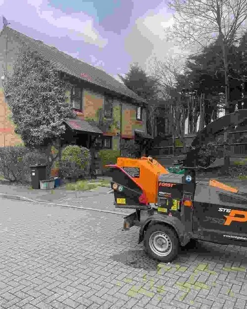 stump-grind-before