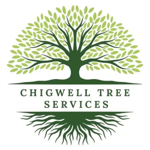 Chigwell Tree Services 🌳 | Expert Tree Surgeons in Essex & East London