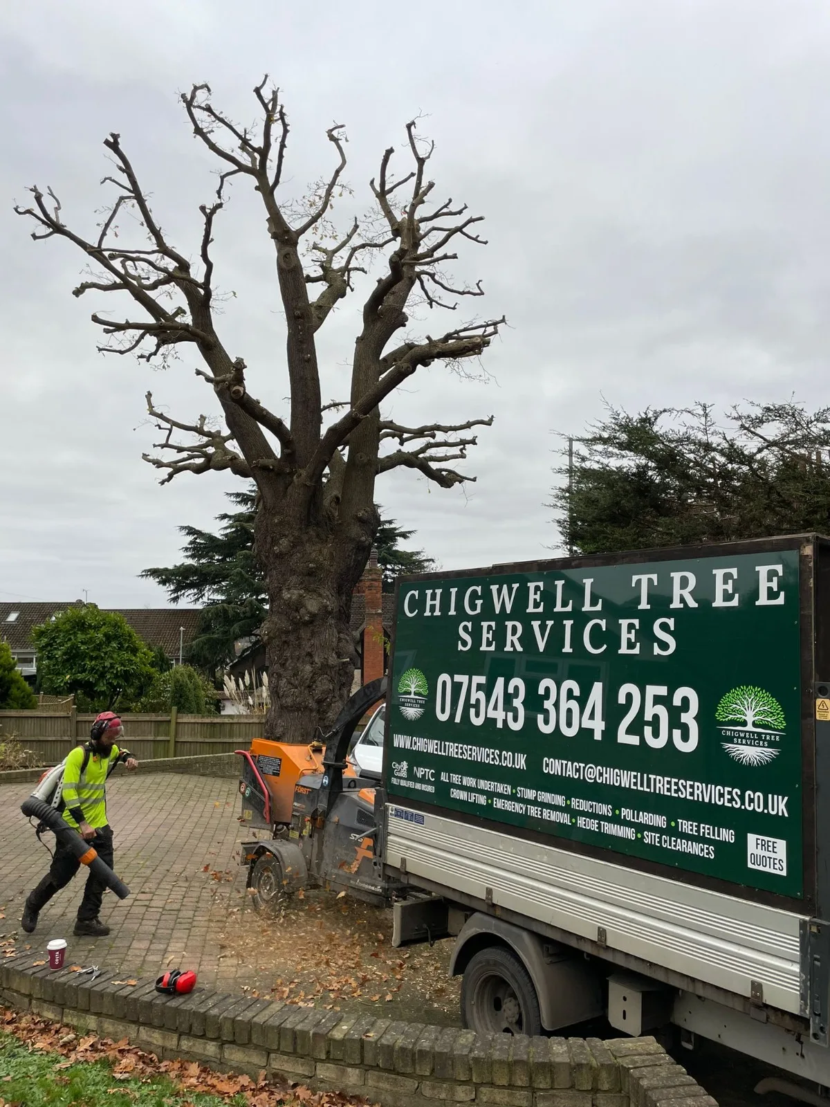 Chigwell tree services van