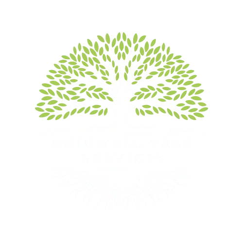 Chigwell Tree Services Light