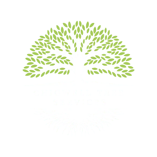 Chigwell Tree Services Light