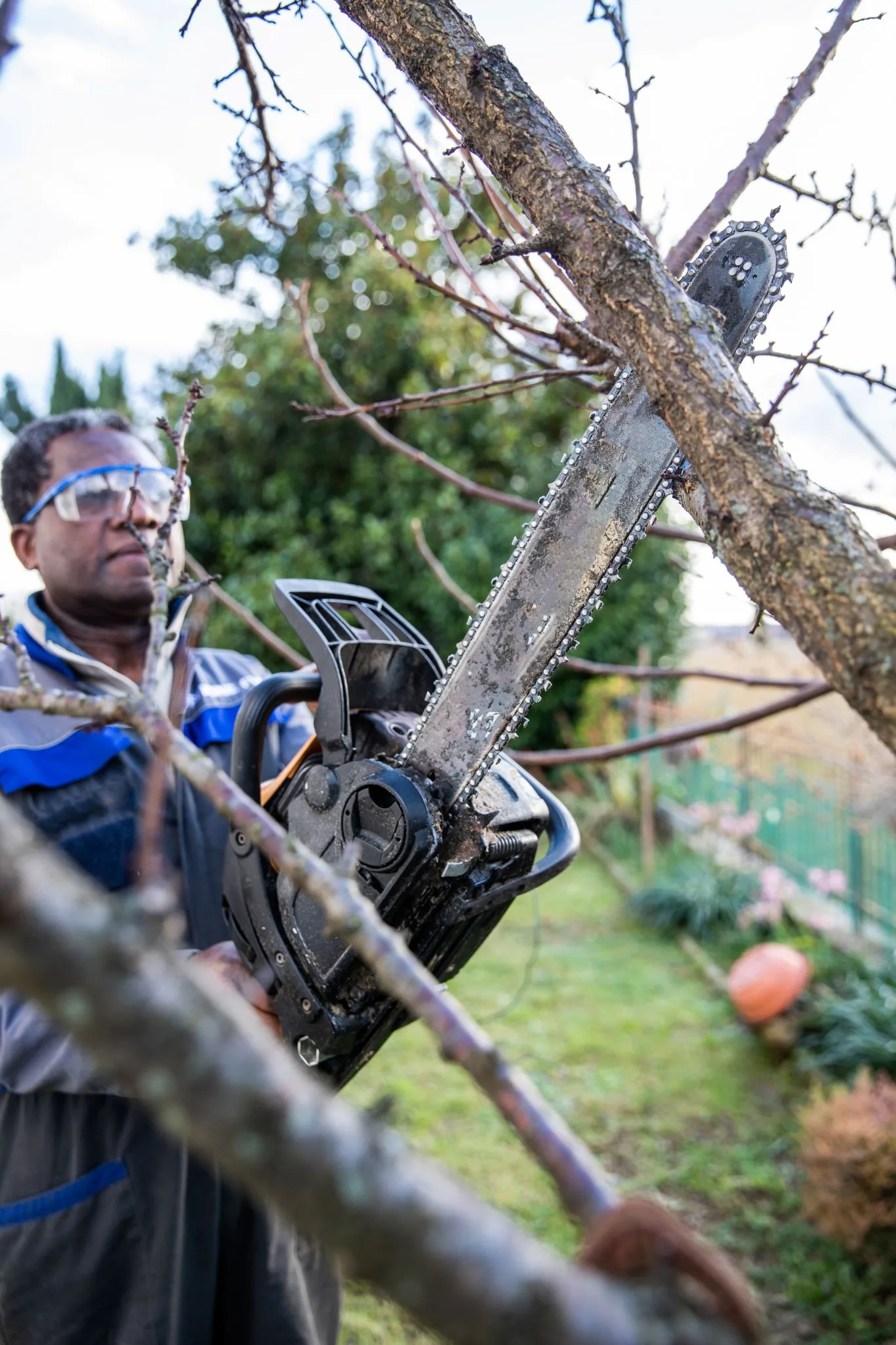 A professional, wearing protective glasses and a work uniform, operates a chainsaw to prune a tree branch, demonstrating the specialized skills of Tree Surgeons in Aldersbrook.