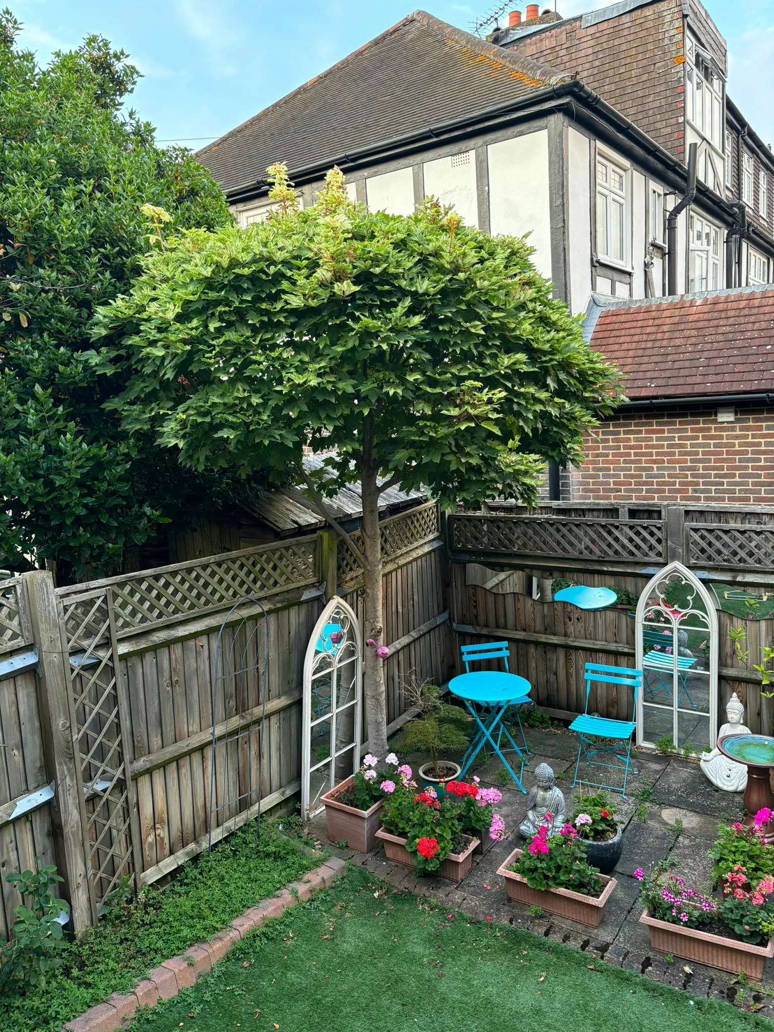 A vibrant green, well-maintained tree with a rounded canopy stands in a cozy backyard, surrounded by potted flowers, a small blue patio set, and decorative mirrors on a wooden fence, showcasing the type of careful property management often supported by Tree Surgeons in Brentwood.