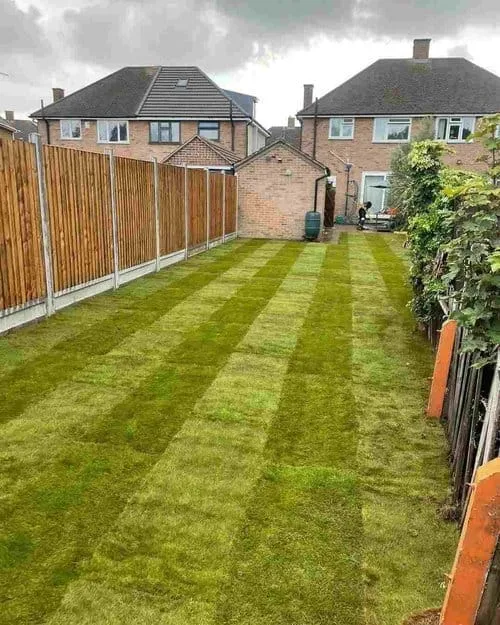 A meticulously mowed residential lawn with distinct stripes extends towards two houses and a garden shed, bordered by a new wooden fence on one side and foliage on the other, reflecting the attention to detail often provided by Tree Surgeons in Chingford for overall garden care.