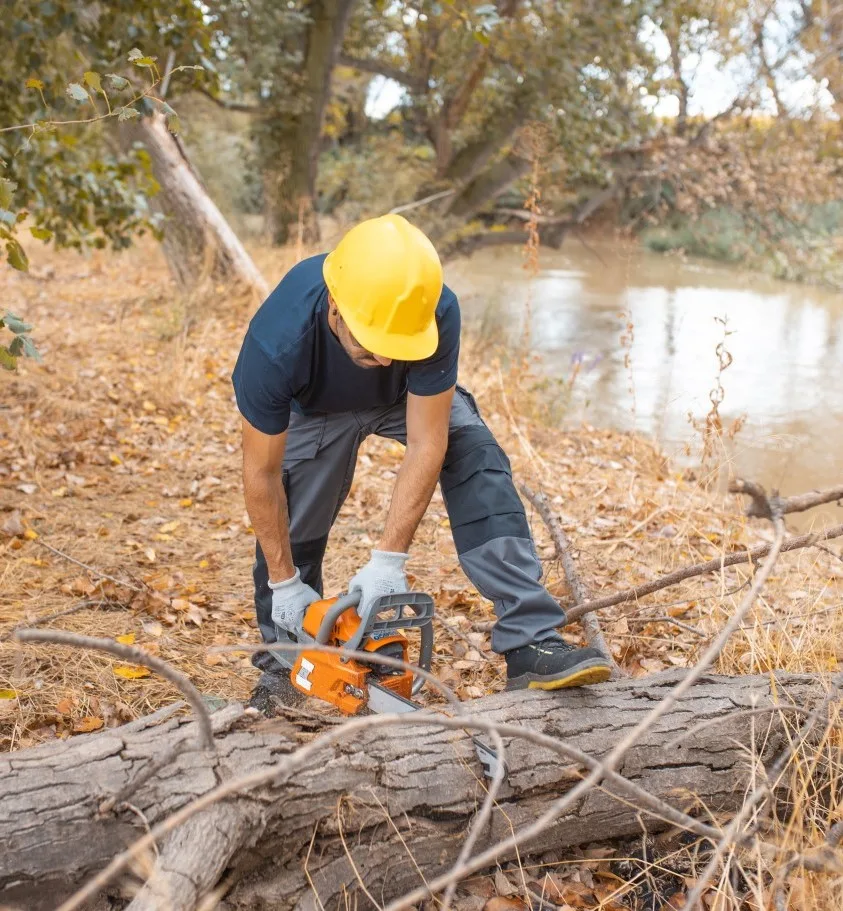 A tree worker wearing a yellow hard hat and protective gloves is bent over, operating an orange chainsaw to cut a fallen tree trunk in a woodland area beside a river, illustrating the crucial services provided by Tree Surgeons in Seven Kings.