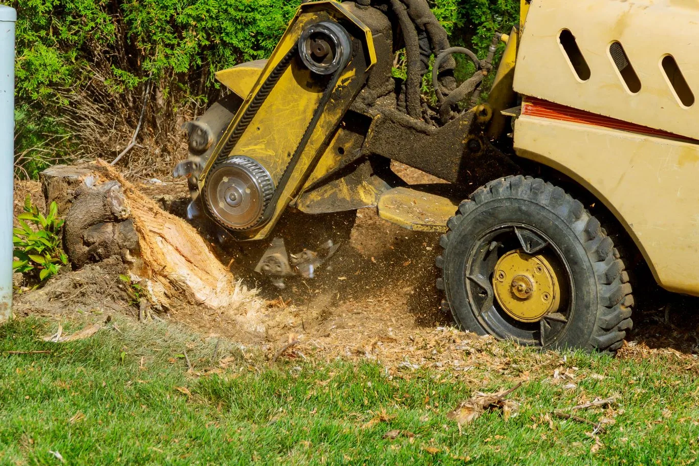 Professional stump grinding cost service in the UK using specialised machinery to remove a tree stump safely and efficiently in a garden.