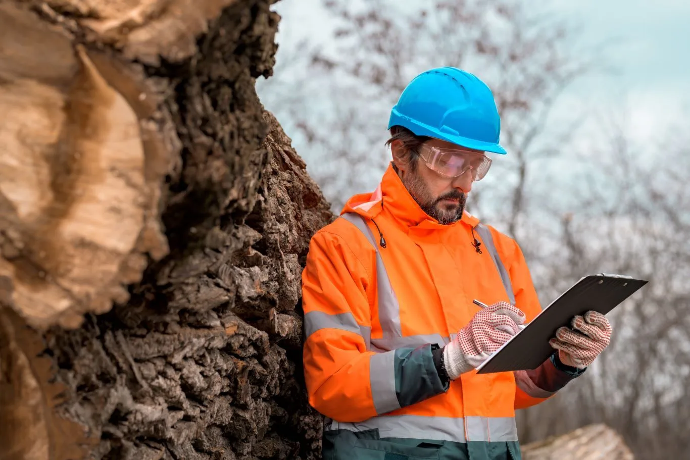 A commercial tree surgeon or forestry worker, dressed in an orange high-visibility jacket, blue hard hat, and safety glasses, inspects a clipboard while standing next to a stack of felled logs. The worker has a beard and appears focused on their task in an outdoor, possibly wintry, environment.
