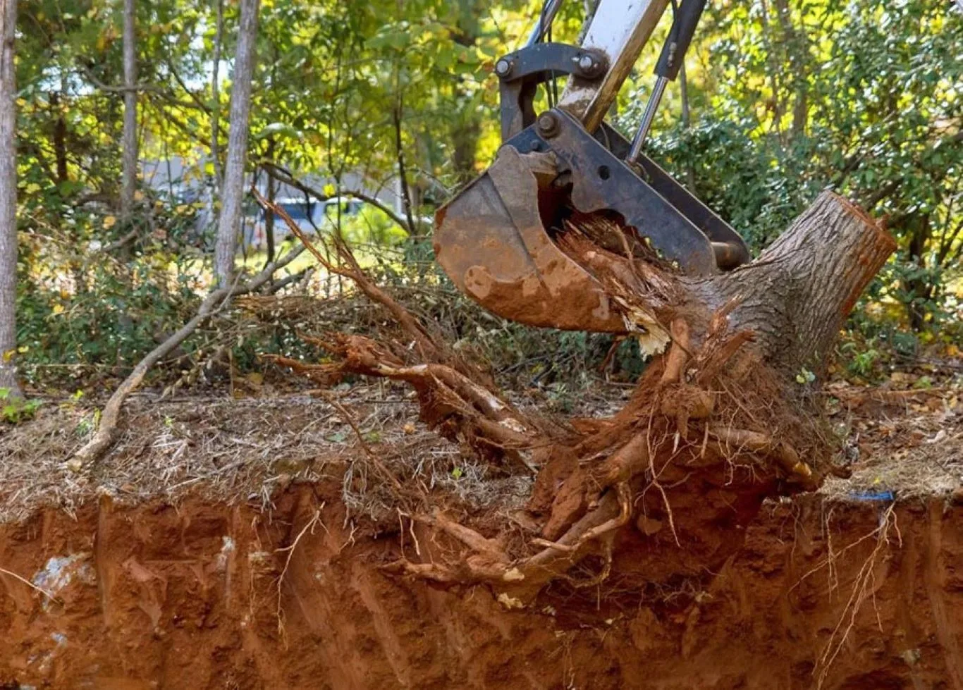 An excavator lifting a tree stump and roots from the ground during a professional tree and root removal service in a wooded area.