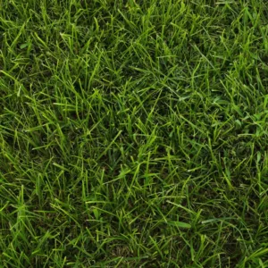 Shade Specialist Turf