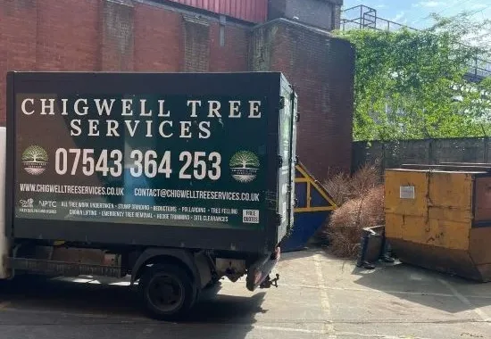 chigwell-tree-services-truck- chigwell-tree-services-truck-